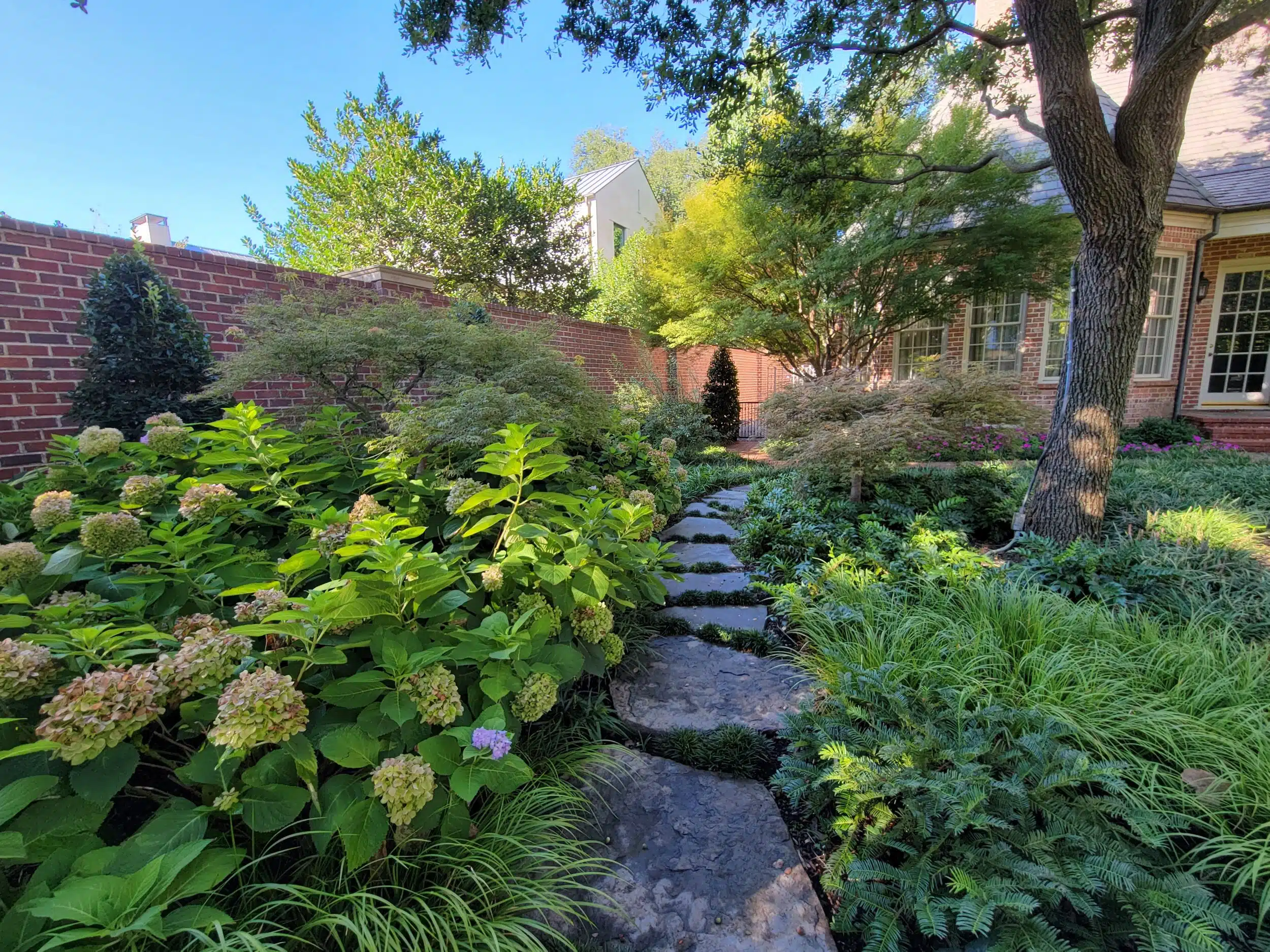Landscape Design Trophy Club